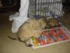 DSC02864.JPG