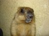 DSC02870.JPG