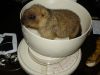 DSC02877.JPG