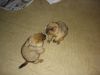 DSC02890.JPG