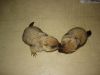 DSC02900.JPG