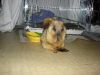 DSC02904.JPG