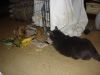 DSC03289.JPG