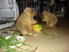 DSC03295.JPG