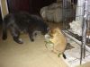 DSC03297.JPG