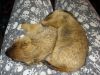 DSC03298.JPG