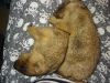 DSC03299.JPG