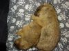 DSC03301.JPG