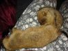 DSC03308.JPG