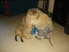 DSC03310.JPG