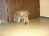 DSC03312.JPG