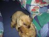 DSC03323.JPG