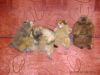 DSC01512.JPG