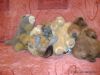 DSC01517.JPG